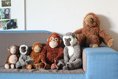 Auf dem Bild sieht man verschiedene Kuscheltier Affen auf einem Sofa sitzen.