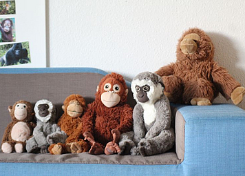 Auf dem Bild sieht man verschiedene Kuscheltier Affen auf einem Sofa sitzen.