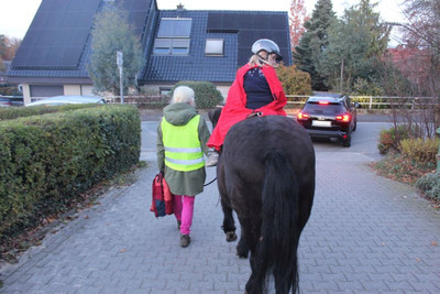 Pferd mit Reiter auf der Straße