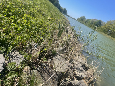 Eine Wiese mit dem Kanal am nassen Dreieck