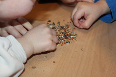 Kinderhände und Körner