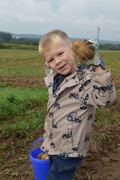 Junge mit Kartoffel in der Hand